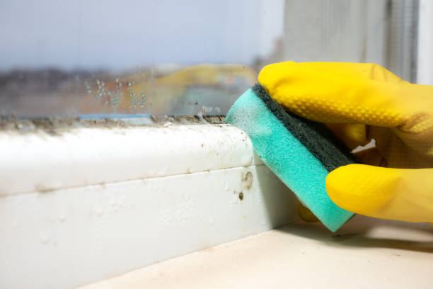 Mold Remediation for Rental Properties in Verona, VA